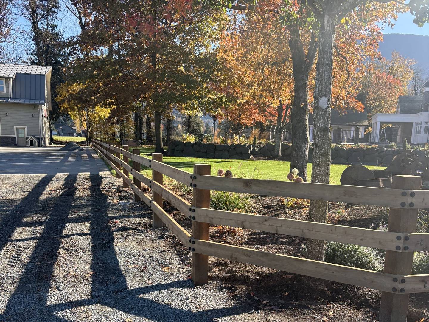 A new post-and-rail cedar fence running along a gravel driveway under autumn trees