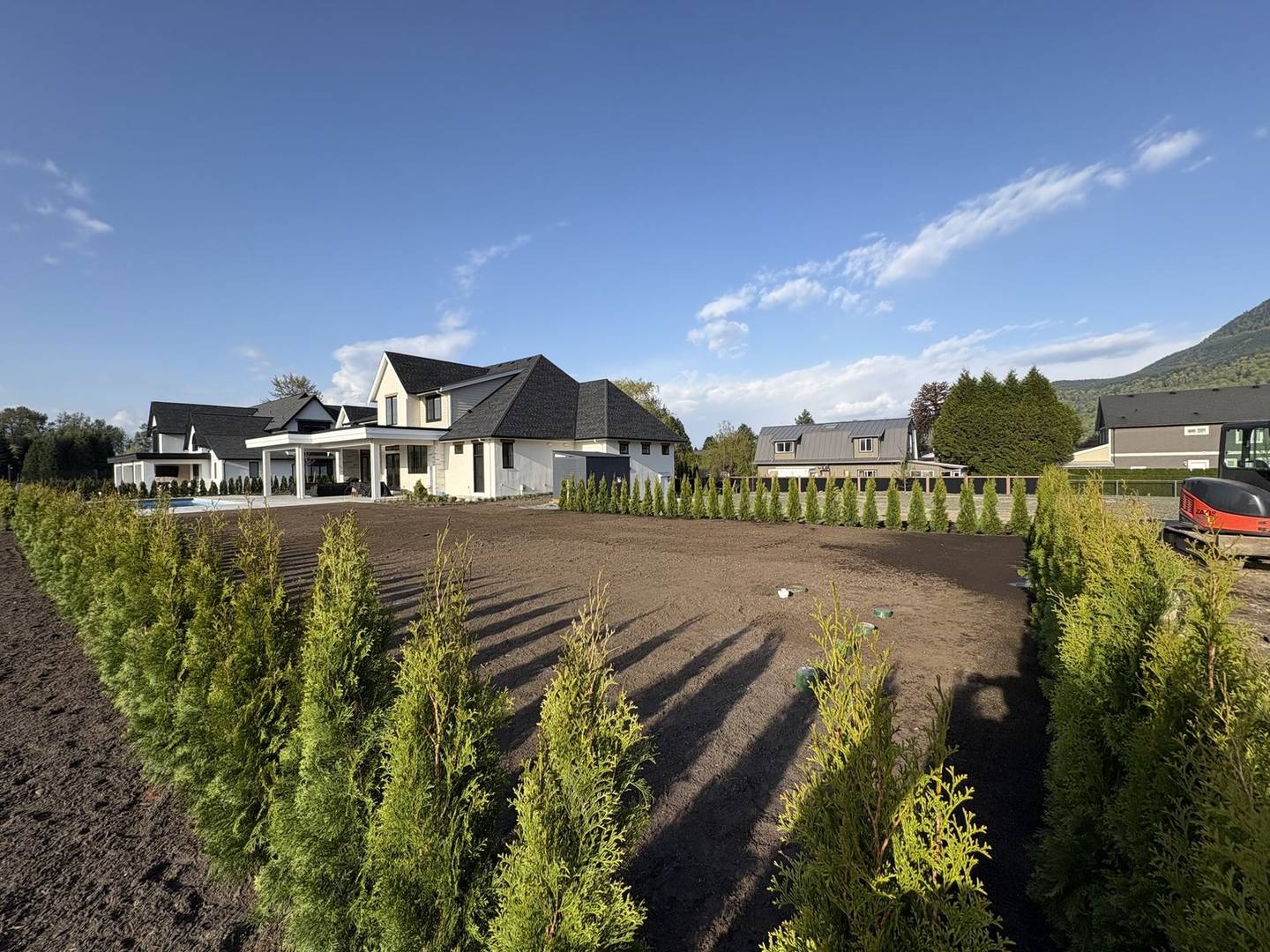 Two rows of newly planted cedar hedging either side of a freshly graded yard, with a large house behind